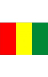 Guinea Flagge
