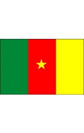 Kamerun Flagge