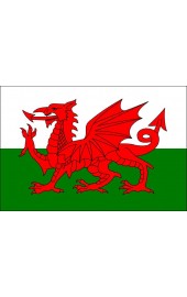 Wales Flagge