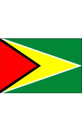 Guyana Flagge
