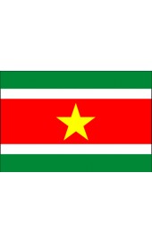 Suriname Flagge