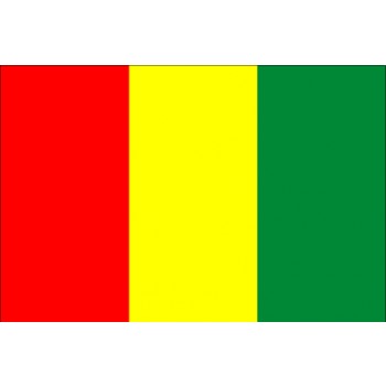 Guinea Flagge