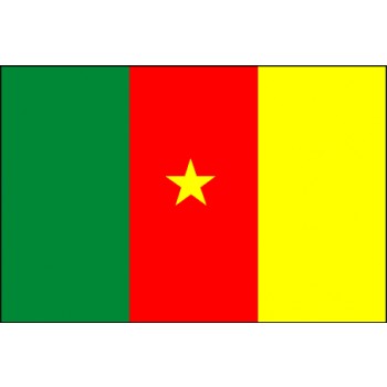 Kamerun Flagge
