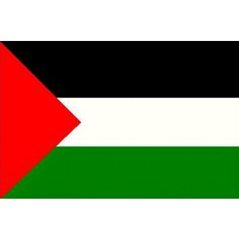 Palastina Flagge