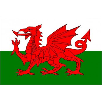 Wales Flagge