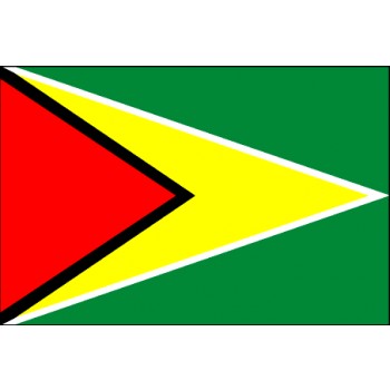 Guyana Flagge