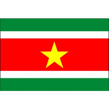 Suriname Flagge